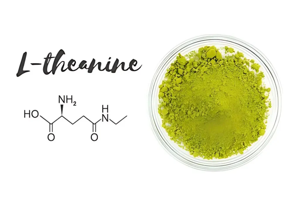 theanine va giac ngu