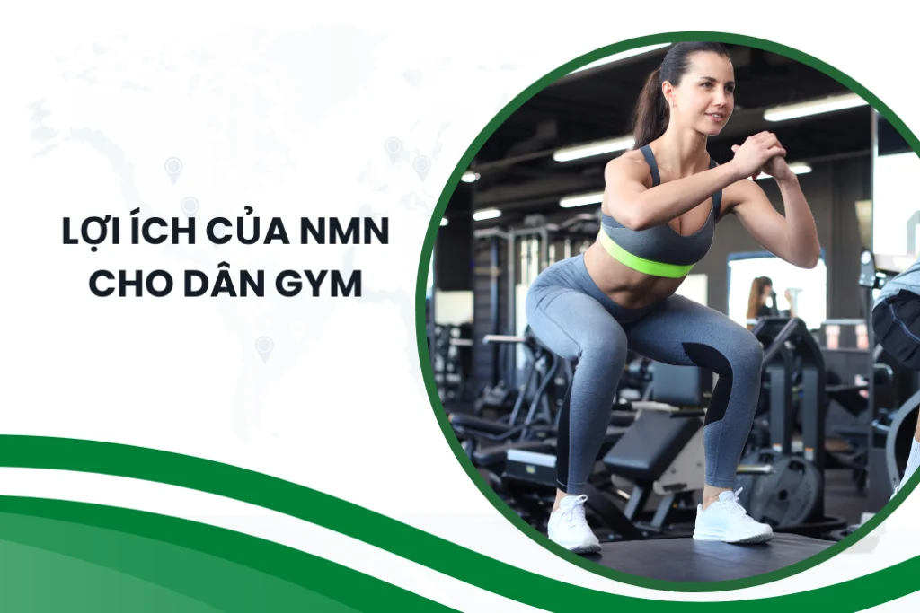 Khám phá lợi ích của NMN cho dân gym từ A-Z