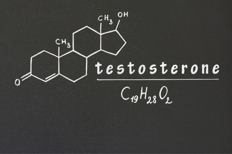 Hormone testosterone ở nam giới