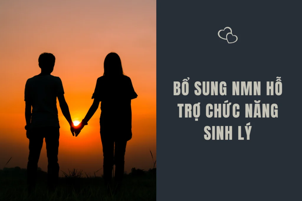Thực hư việc NMN hỗ trợ chức năng sinh lý