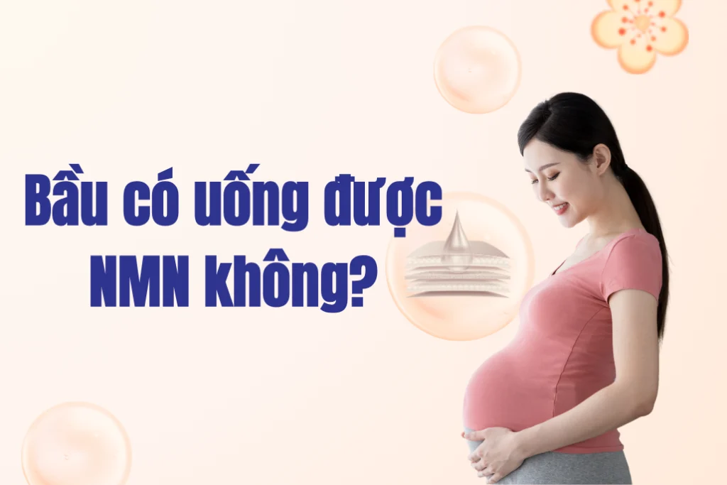 Phụ nữ mang thai có nên uống NMN để cải thiện sức khỏe hay không?
