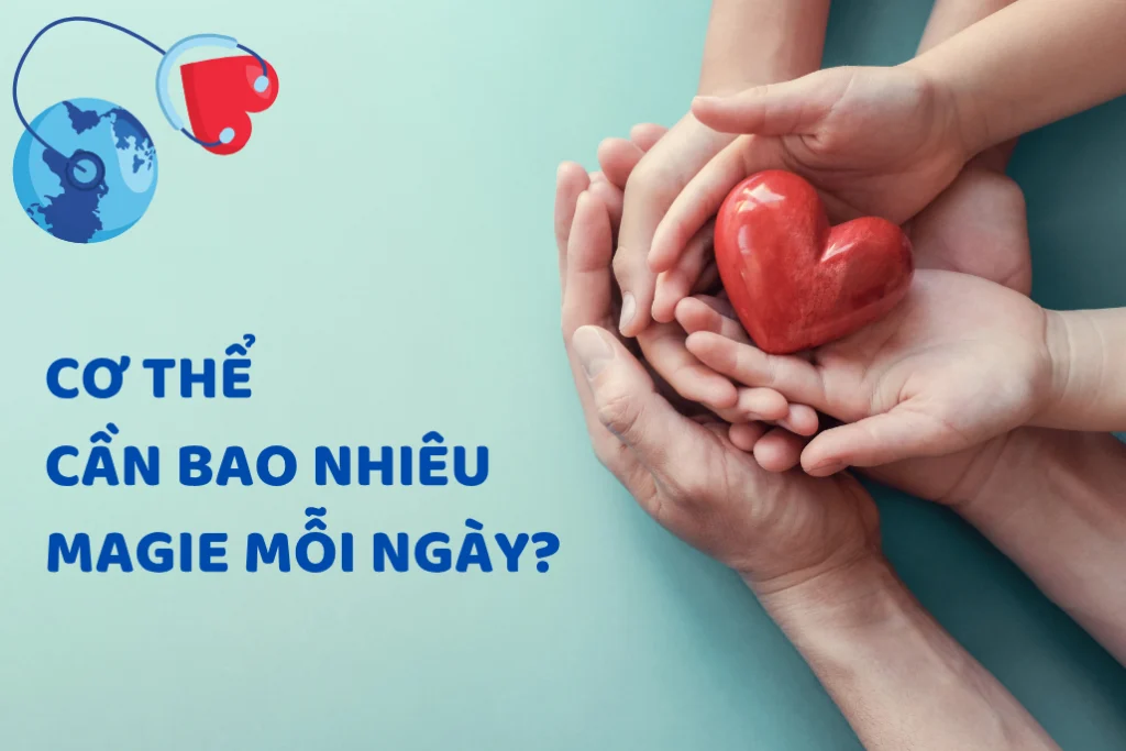 Lượng magie cần thiết mỗi ngày của cơ thể là bao nhiêu?