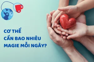 Lượng magie cần thiết mỗi ngày của cơ thể là bao nhiêu?