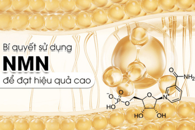 Khi sử dụng NMN nên dùng liều lượng phù hợp để đạt hiệu quả tốt nhất