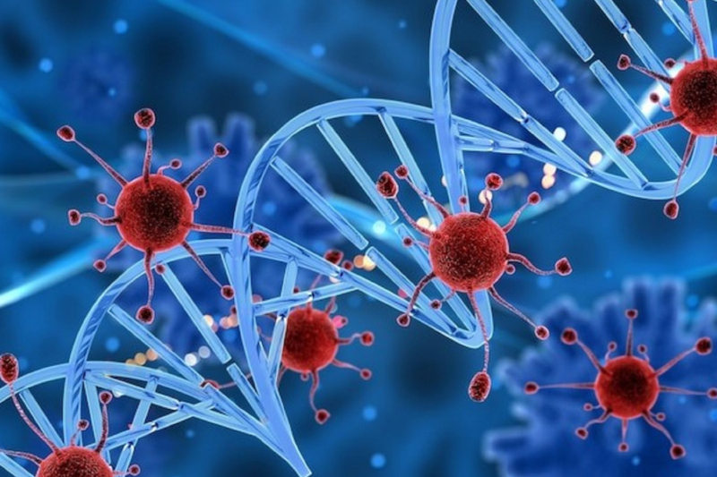 NMN giúp phục hồi tổn thương tế nào sau hóa trị