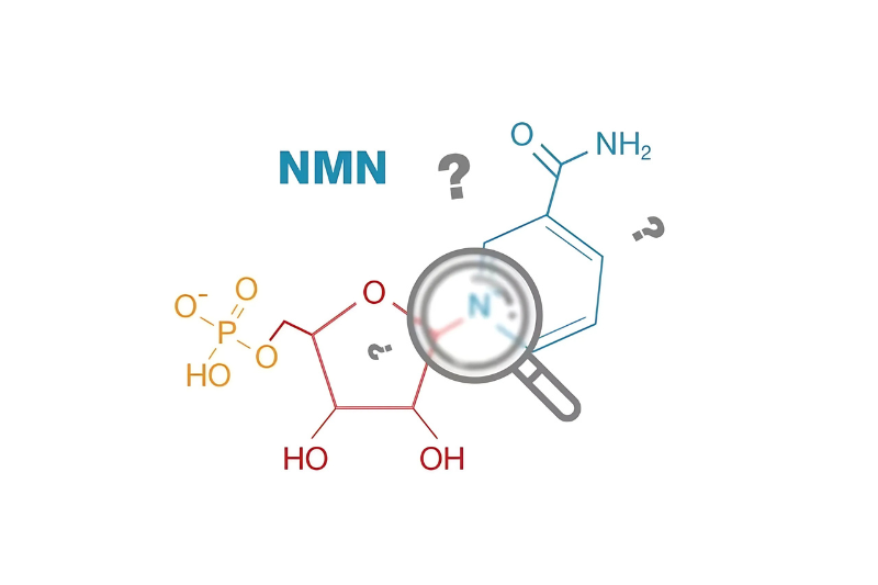 Ung thư dùng NMN được không? 