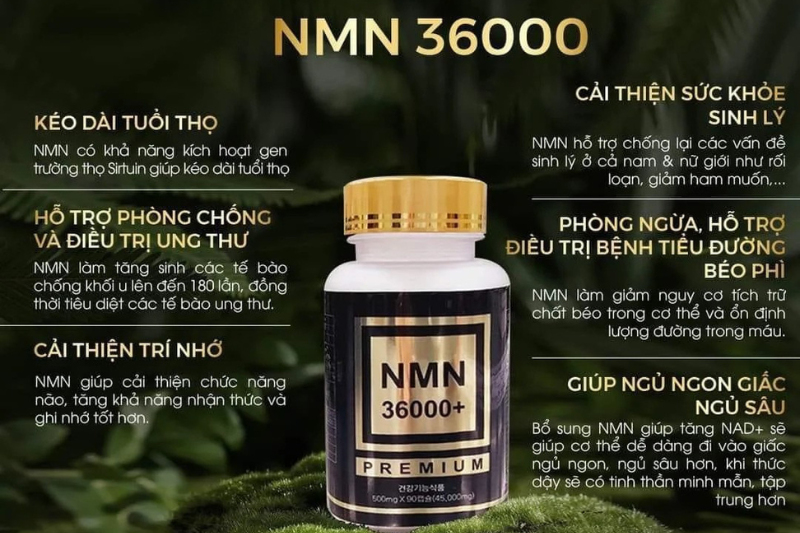 Liposomal NMN và NMN 36000: Nên chọn loại nào cho nhu cầu bản thân 6 NMN 36000 Premium kết hợp thêm các dưỡng chất thiết yếu để đem lại hiệu quả tốt nhất cho cơ thể