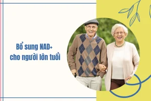 Bổ sung NAD+ cho người lớn tuổi cần lưu ý những điều gì?