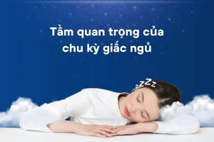 Tầm quan trọng của chu kỳ giấc ngủ và cách cải thiện chất lượng giấc ngủ