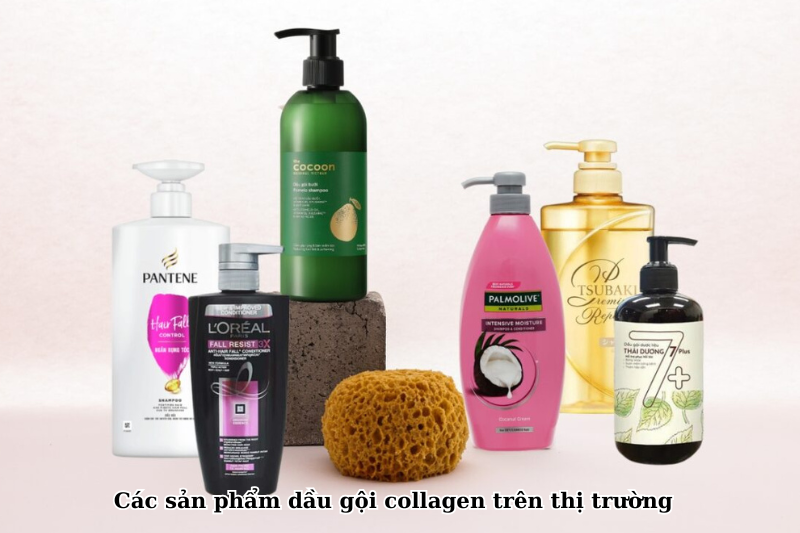 Các sản phẩm dầu gội collagen trên thị trường
