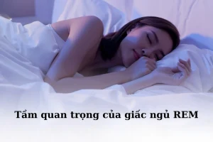 giac ngu rem