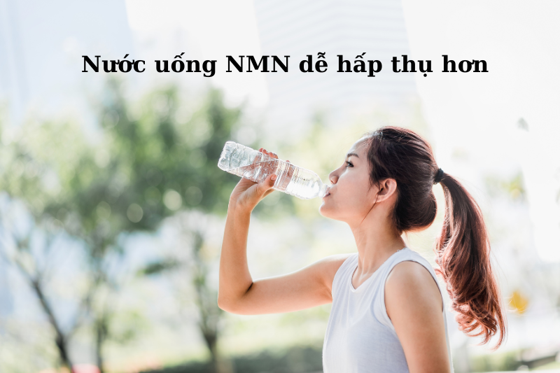 Top 4+ sản phẩm nước uống NMN được ưa chuộng nhất hiện nay 4 Nước uống NMN giúp hấp thụ nhanh hơn