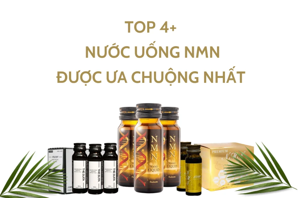 Top 4+ sản phẩm nước uống NMN được ưa chuộng nhất hiện nay 1 Top 4+ sản phẩm nước uống NMN được ưa chuộng nhất hiện nay