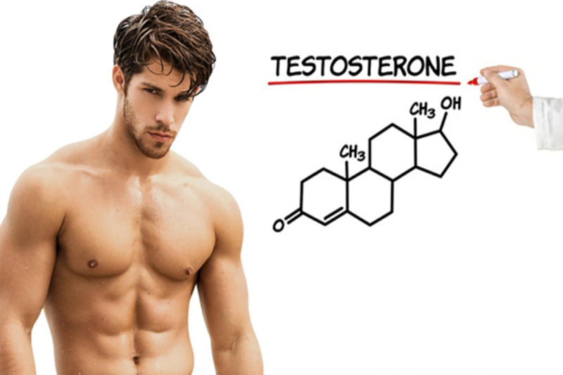 Suy giảm sức khỏe sinh sản ở nam giới