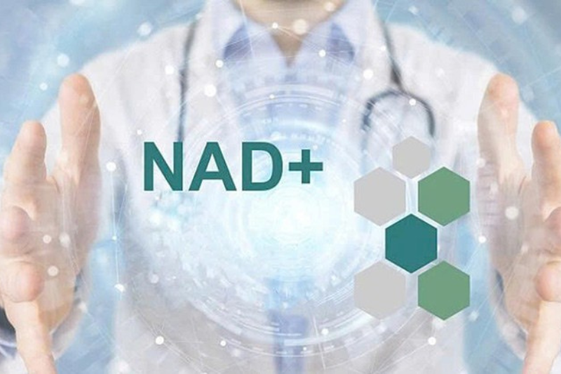 Người bị bệnh tiểu đường có uống NMN được không? 3 Uống NMN giúp tăng nồng độ NAD+ trong cơ thể
