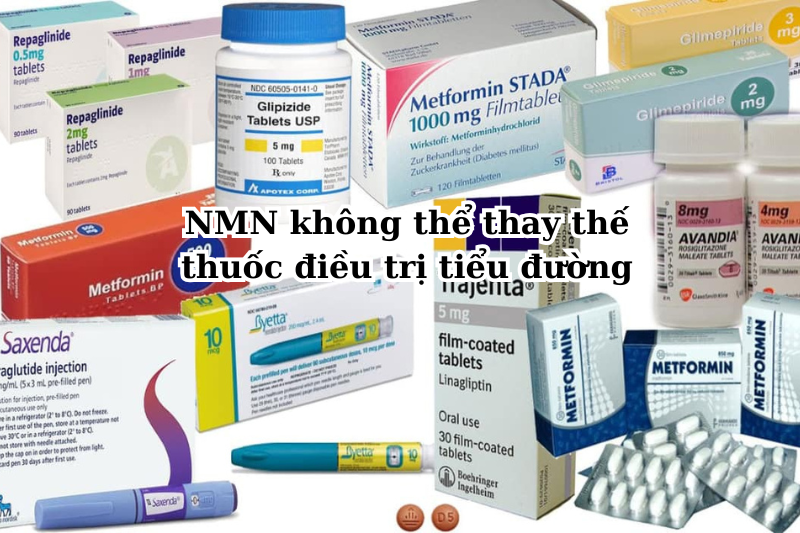 Người bị bệnh tiểu đường có uống NMN được không? 8 NMN không thể thay thế thuốc điều trị tiểu đường