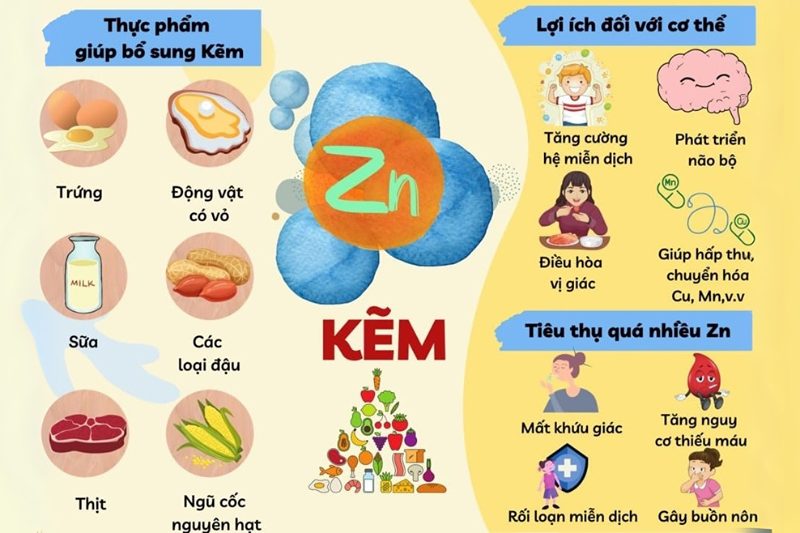 Tác dụng của kẽm với sức khỏe