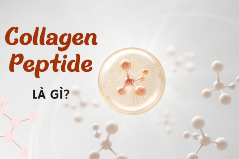 Collagen dạng peptide dễ hấp thụ
