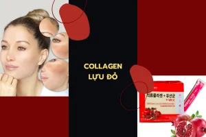 Sim: 0971722828      Giá: 12,137,000đ Khách: T.Thanh      Sđt: 0978419444 Địa chỉ: 500, Phường Cát Linh, Quận Đống Đa, Thành phố Hà Nội