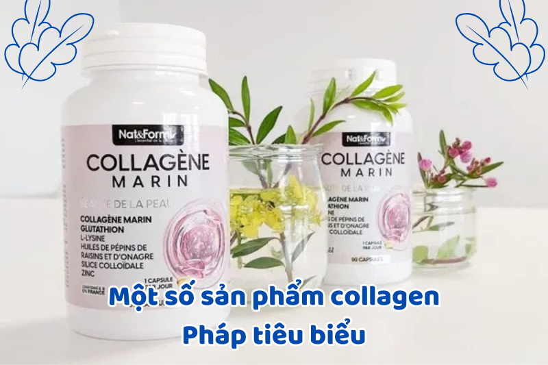 Một số sản phẩm collagen Pháp tiêu biểu
