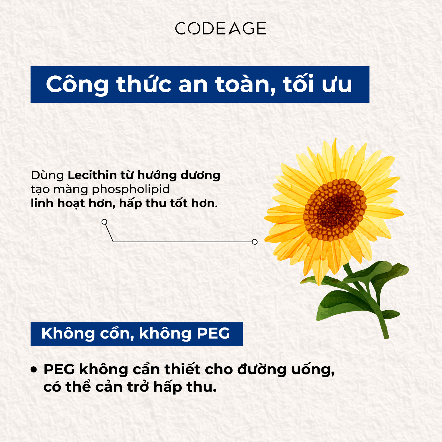 Công thức sử dụng thành phần an toàn