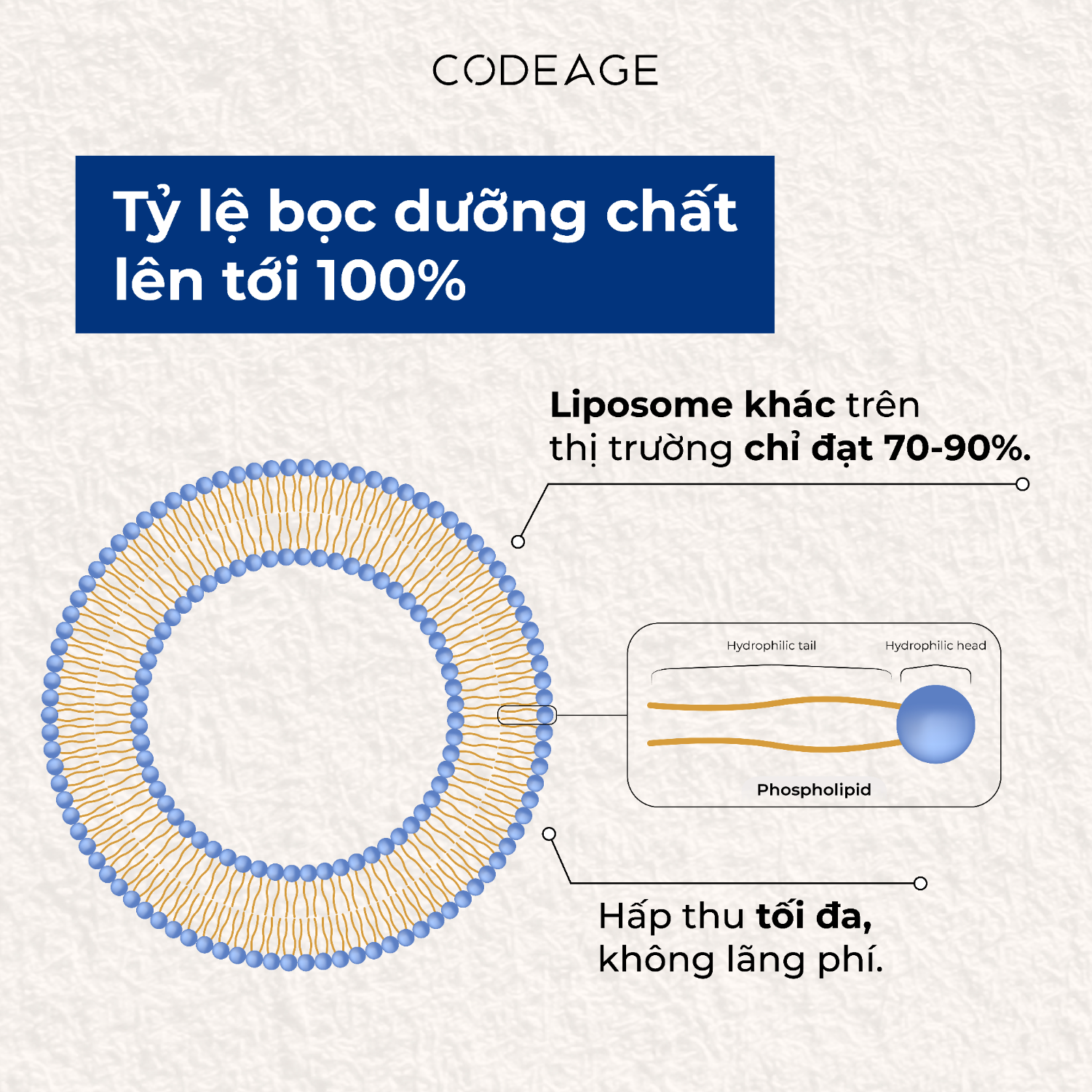 Tỷ lệ bao bọc dưỡng chất lên tới 100%