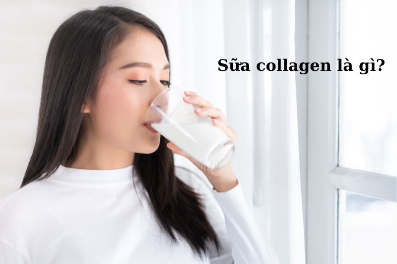 Sữa collagen là gì?