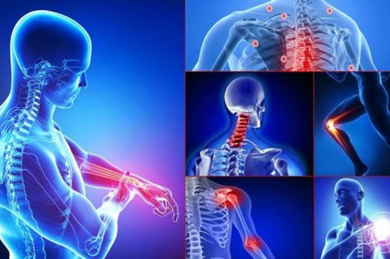 Hỗ trợ cải thiện sức khỏe hệ xương khớp