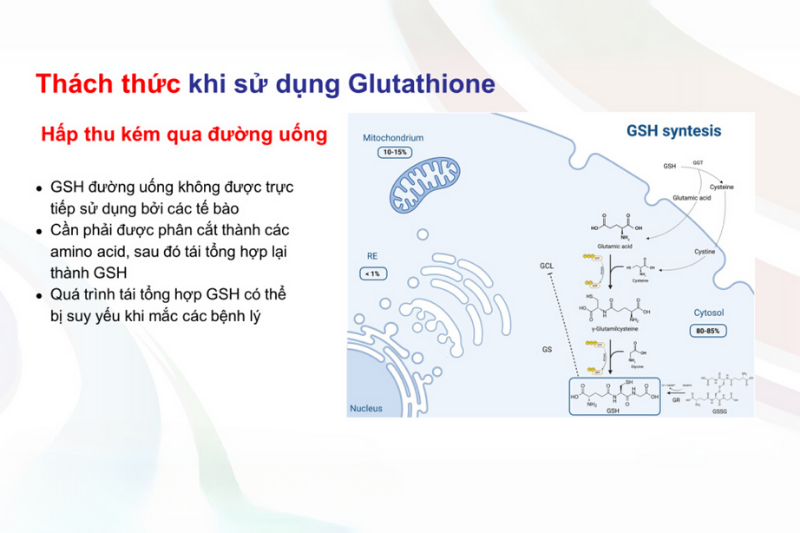 Điều cần tránh khi sử dụng glutathione để tối ưu hiệu quả 3 Một số tác nhân làm giảm hiệu quả hấp thụ glutathione