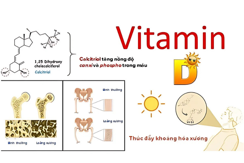 Nguyên nhân và cách khắc phục tình trạng thiếu vitamin D 2 Vai trò của vitamin D với sức khỏe