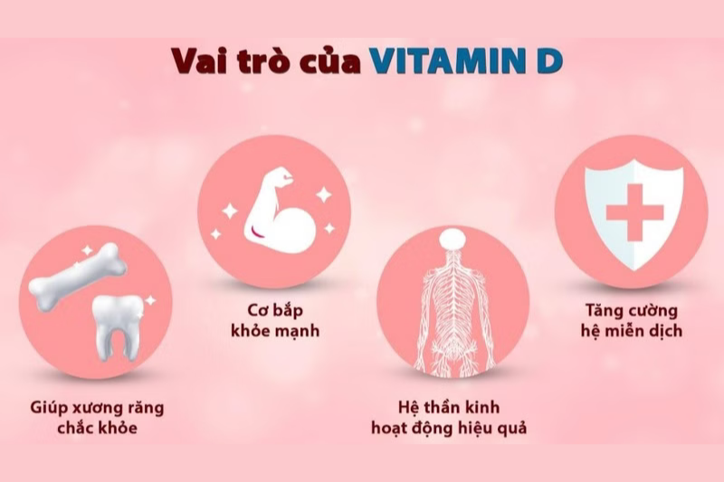 Top 7+ loại thực phẩm giúp bổ sung vitamin D tốt nhất 2 Vai trò của vitamin D với sức khỏe