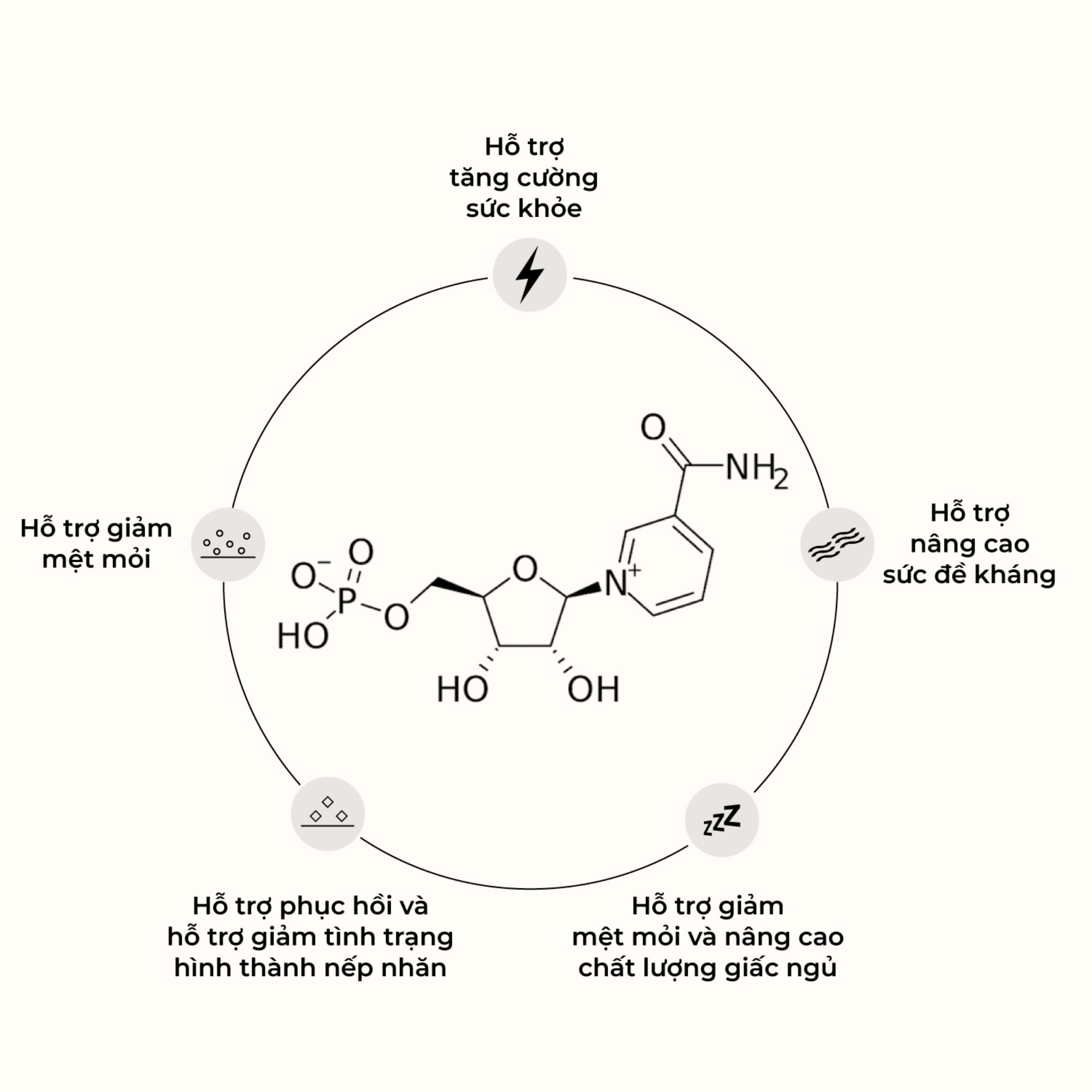 Tác dụng của NMN