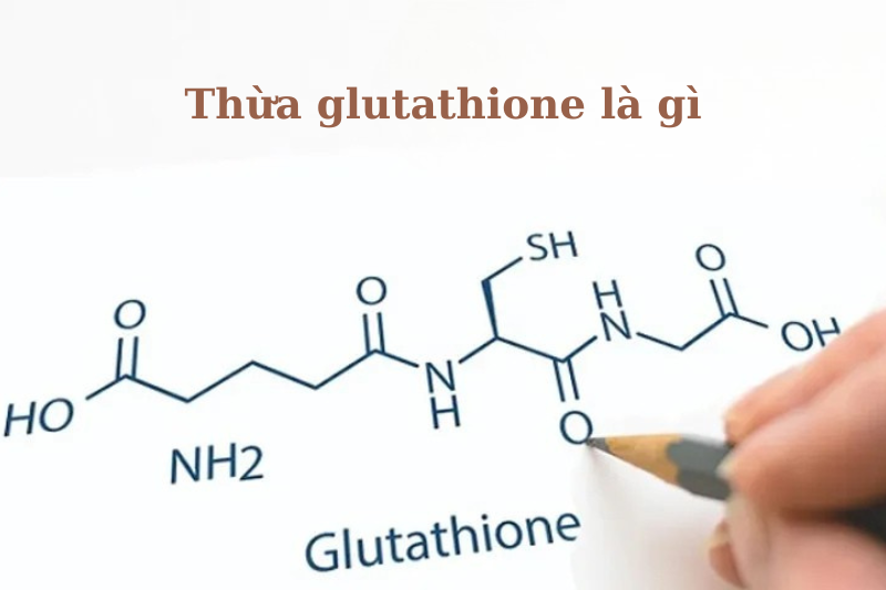 Dư thừa glutathione và những ảnh hưởng tới sức khỏe 2 Thừa glutathione là gì?