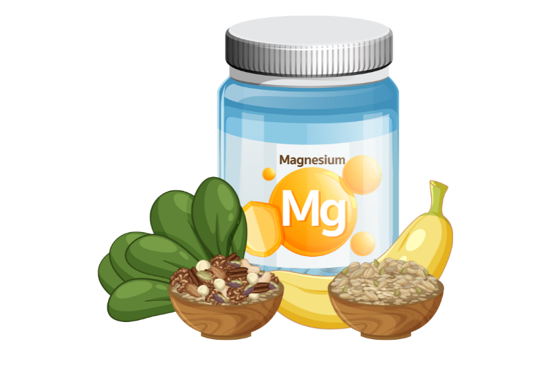 Khoáng chất magie tham gia nhiều phản ứng sinh hóa quan trọng