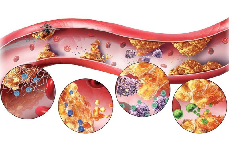 Việc rối loạn chuyển hóa khiến vitamin C không hấp thu hết, tạo cảm giác vàng da