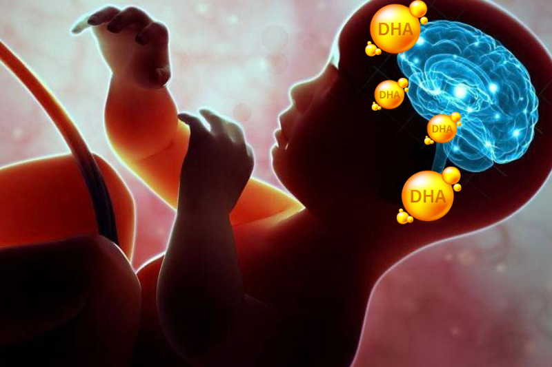 Có bầu uống Omega 3 được không? Có, vì DHA giúp hoàn thiện hệ thần kinh cho thai nhi