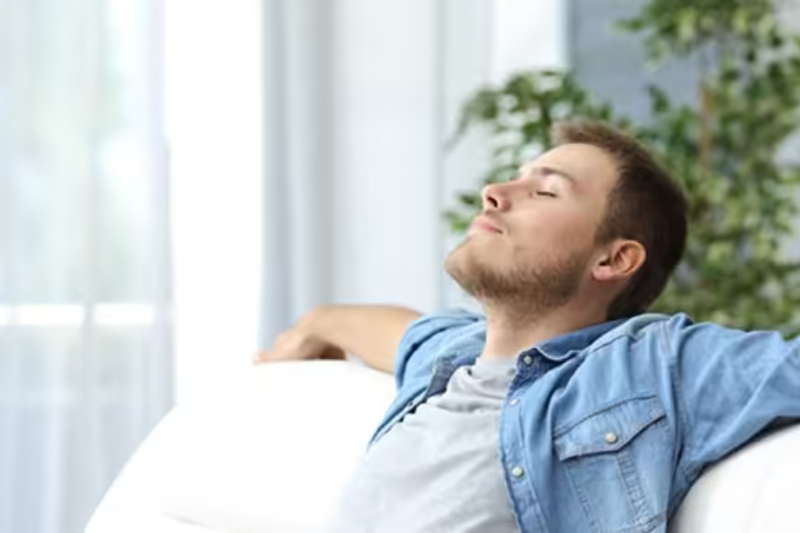 Omega-3 giúp giảm căng thẳng, cải thiện khả năng tập trung và tăng hiệu suất làm việc