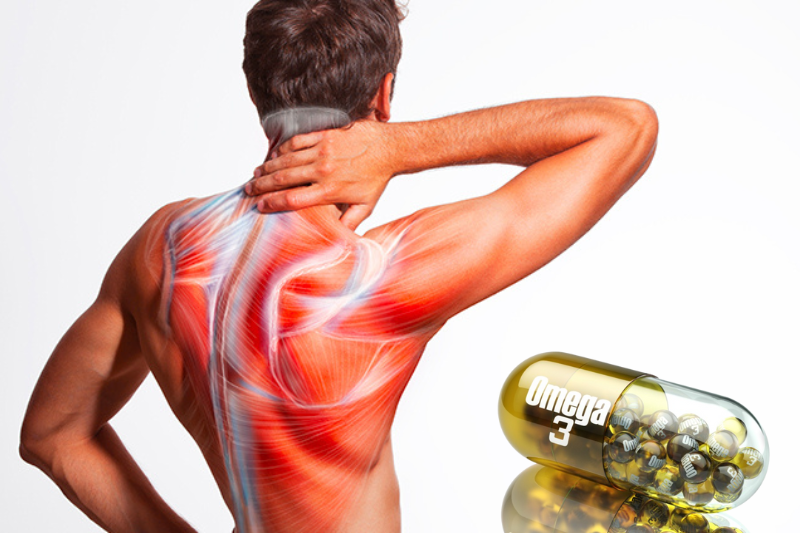 Omega-3 giúp giảm viêm cơ bắp, đau nhức và căng cứng sau khi tập luyện