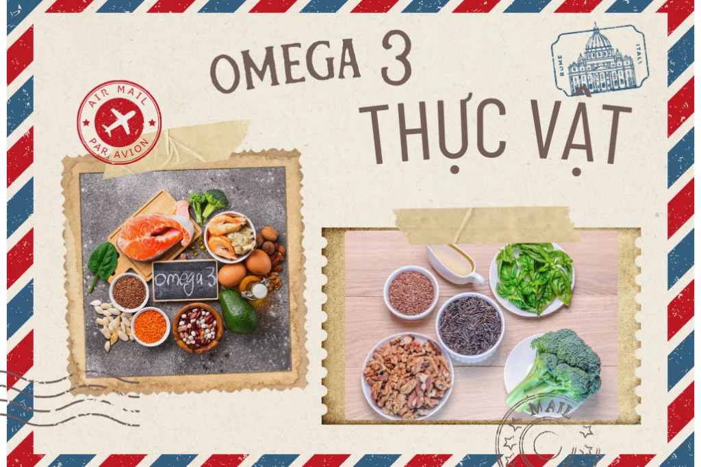 Top 4 nguồn bổ sung Omega 3 thực vật tốt & hiệu quả nhất