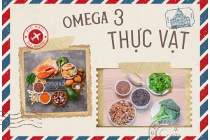 Top 4 nguồn bổ sung Omega 3 thực vật tốt & hiệu quả nhất