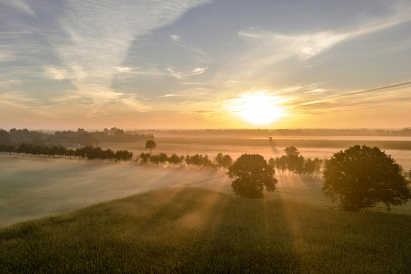 Tránh ánh nắng trực tiếp và nhiệt độ cao