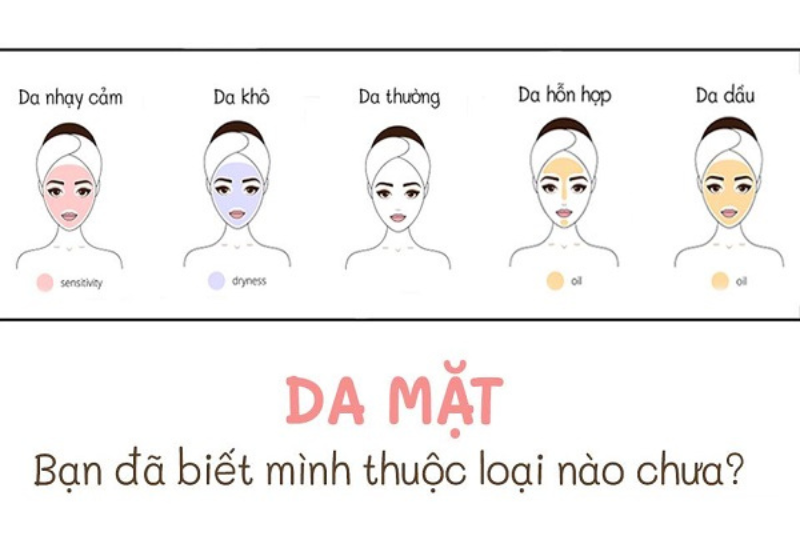 Các loại da phổ biến để xác định quy trình chăm sóc da