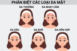 Các loại da phổ biến và cách nhận biết từng loại da một cách dễ dàng