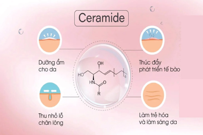 Ceramide là một trong những thành phần dưỡng ẩm da hiệu quả