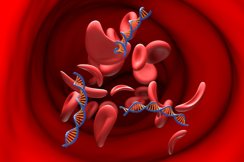 Gan không chỉ giữ vai trò đào thải độc tố mà còn hỗ trợ hệ tuần hoàn máu