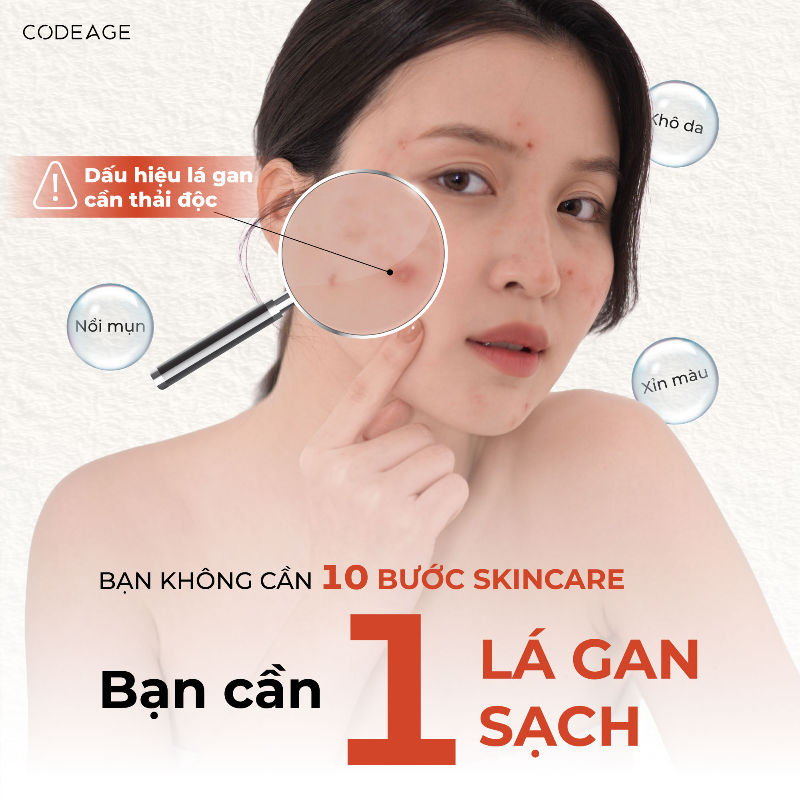 gan va suc khoe lan da