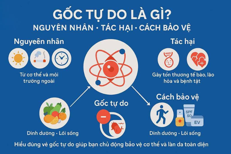 Gốc tự do, stress oxy hóa là gì?