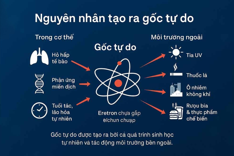 Gốc tự do là có chứa electron chưa ghép đôi