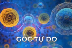 Tác động của gốc tự do đối với cơ thể và cách bảo vệ khỏi tác động của nó