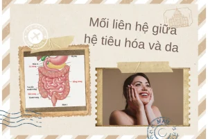 Mối liên hệ giữa hệ tiêu hóa và da là gì?